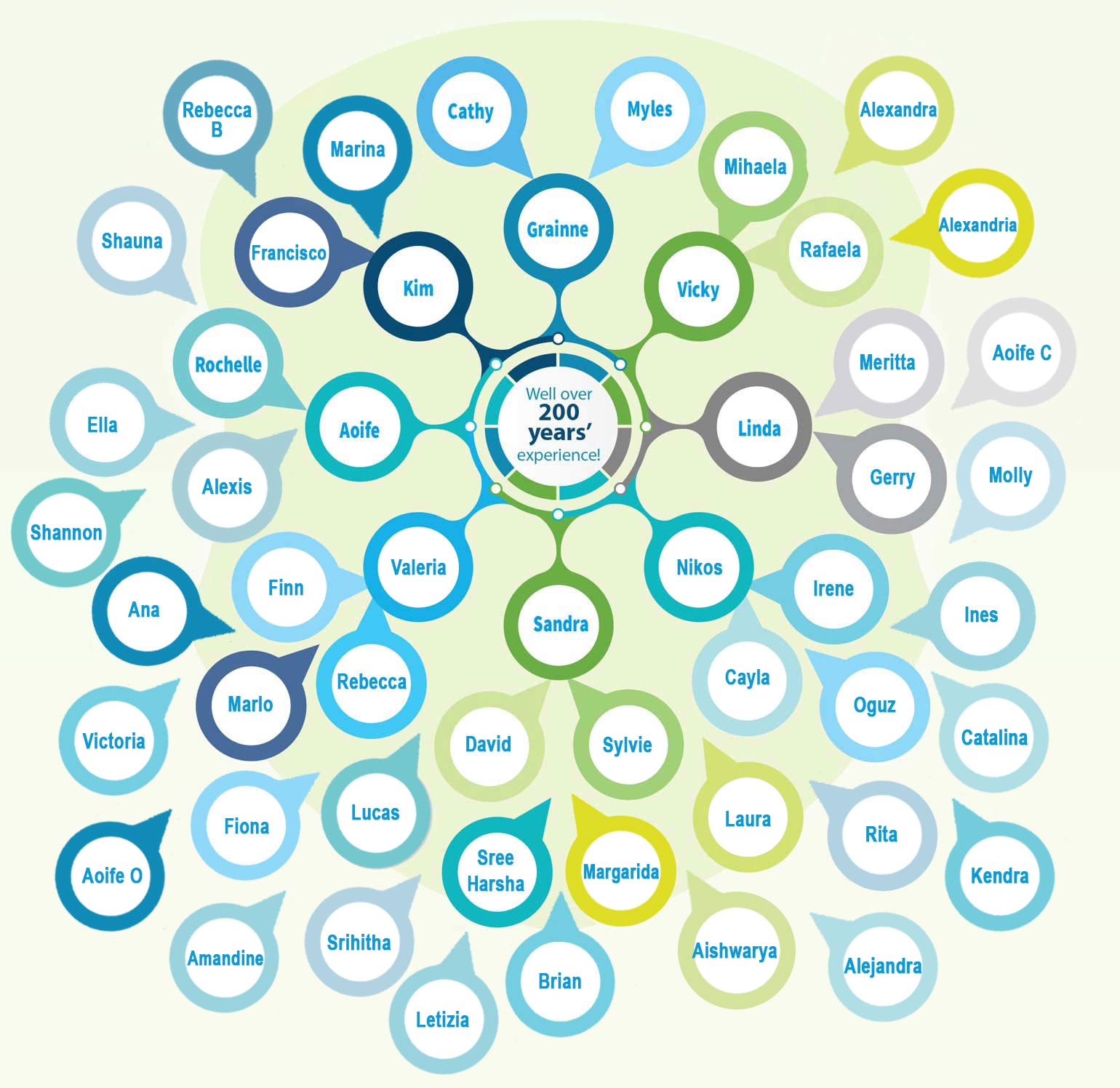 Our Team members graph